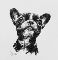 SOLD French Bulldog Charcoal sketch ORIGINAL drawing