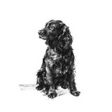 Sitting Cocker Spaniel Sketch Print