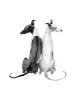 "Company" Sitting Whippets Sketch Print