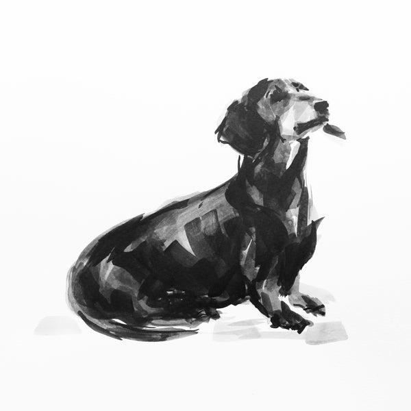 SOLD Dachshund ORIGINAL dog drawing - ink on paper