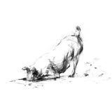 Digger Terrier Sketch Print