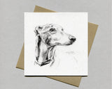 Greyhound Fine art card