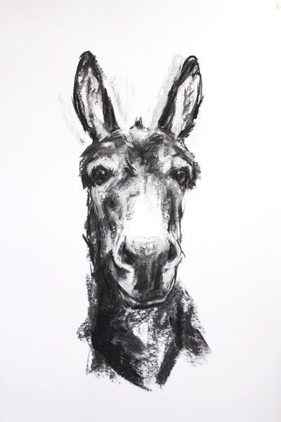 SOLD Donkey Portrait Charcoal sketch ORIGINAL