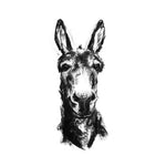Donkey portrait Sketch Print