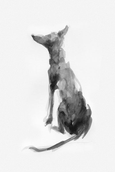 SOLD Sighthound study ink sketch ORIGINAL drawing