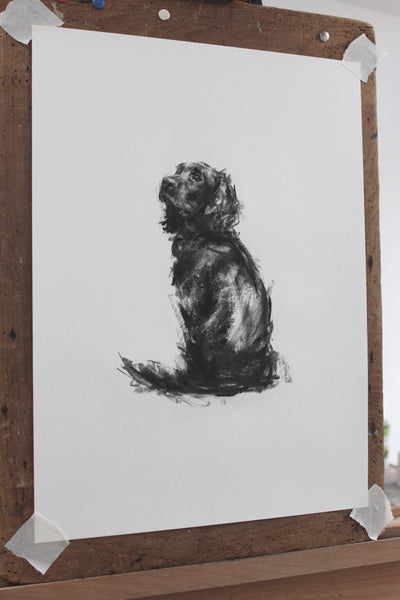 SOLD Spaniel Charcoal sketch ORIGINAL