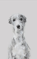 "Ethereal" Whippet Sketch Print