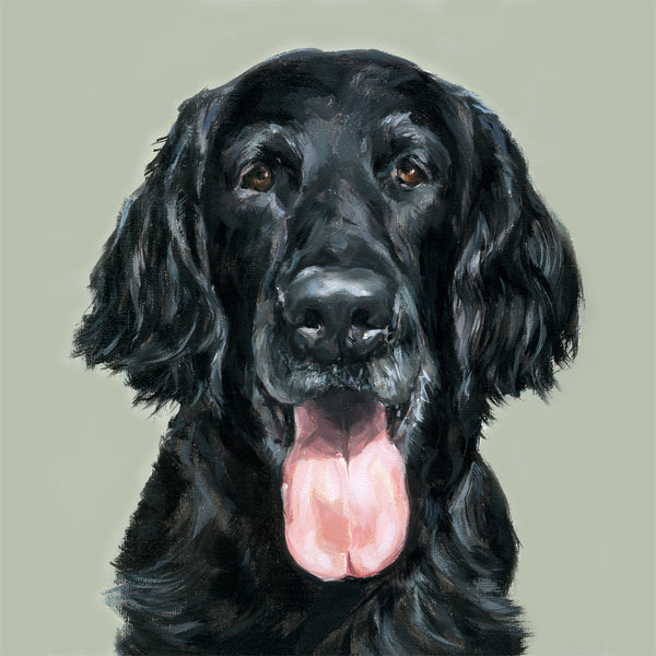 5. Flat-coated Retriever Limited Edition Print