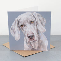 Weimaraner greetings card