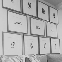 framed dog drawings
