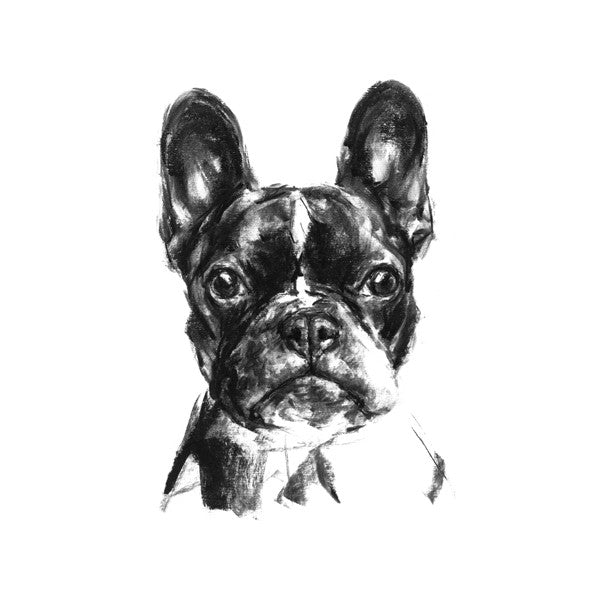 French Bulldog Sketch Print