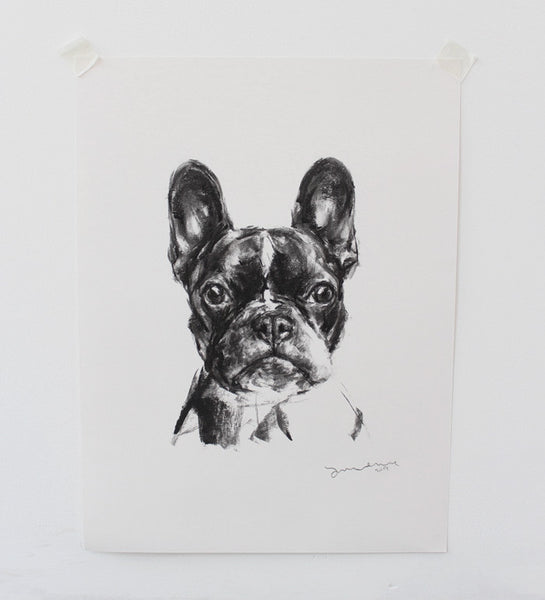 SOLD French Bulldog Charcoal sketch ORIGINAL