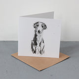 "Whippet Gentle Portrait"  Fine art card