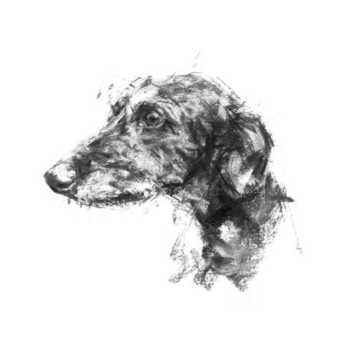 Lurcher Sketch Print