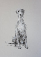 SOLD Grey Gentle Charcoal sketch ORIGINAL