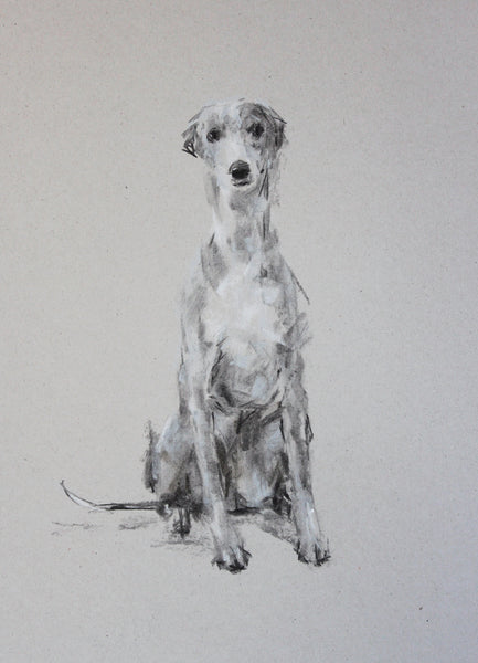 SOLD Grey Gentle Charcoal sketch ORIGINAL