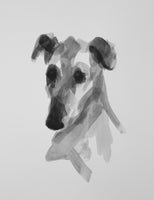 Greyhound ink on Paper - Original Drawing