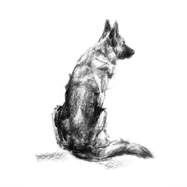 "The Shepherd" GSD Sketch Print