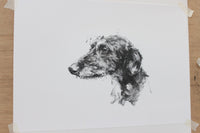 SOLD Lurcher Charcoal sketch ORIGINAL