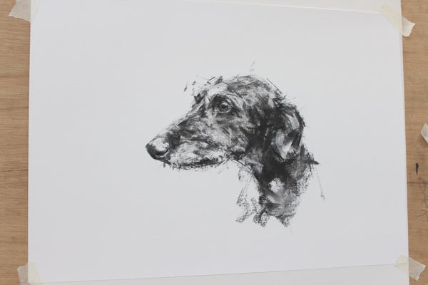 SOLD Lurcher Charcoal sketch ORIGINAL