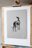 SOLD Study for Hope sighthound Charcoal/Chalk sketch ORIGINAL