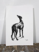 Study for Hope sighthound Charcoal sketch ORIGINAL