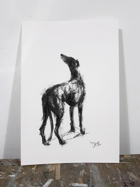 Study for Hope sighthound Charcoal sketch ORIGINAL