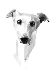 "Muse" Whippet Sketch Print