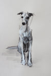 SOLD "The Inquisitive Whippet" Ink/pastel ORIGINAL dog drawing