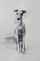 SOLD "The Inquisitive Whippet" Ink/pastel ORIGINAL dog drawing