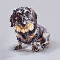 Wire-Haired Dachshund Limited Edition Print