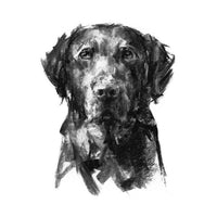 Black Labrador Sketch Print