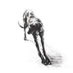 "The Long Stretch" Sighthound Sketch Print