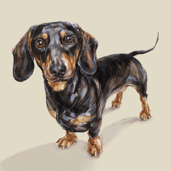 Dog art Dachshund