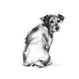 Looking Back Terrier Sketch Print