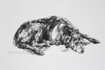 SOLD - Lurcher Sleeping Charcoal sketch ORIGINAL