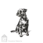 Border terrier print, border terrier art, sketch of a border terrier