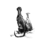 "Patience" Sighthounds Sketch Print