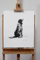 "The Patient Springer" charcoal on paper - Original Dog Drawing