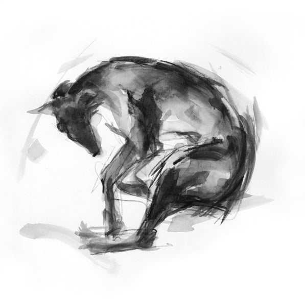 Sighthound sleeping study ink sketch ORIGINAL drawing