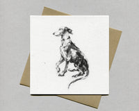 "Please" Whippet  Fine art card