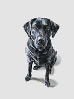 "Catch" Black Labrador Limited Edition Print