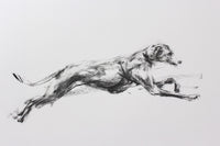 SOLD "Supersonic" Charcoal sketch ORIGINAL