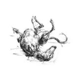 "The Roach Pose"  Whippet Sketch Print