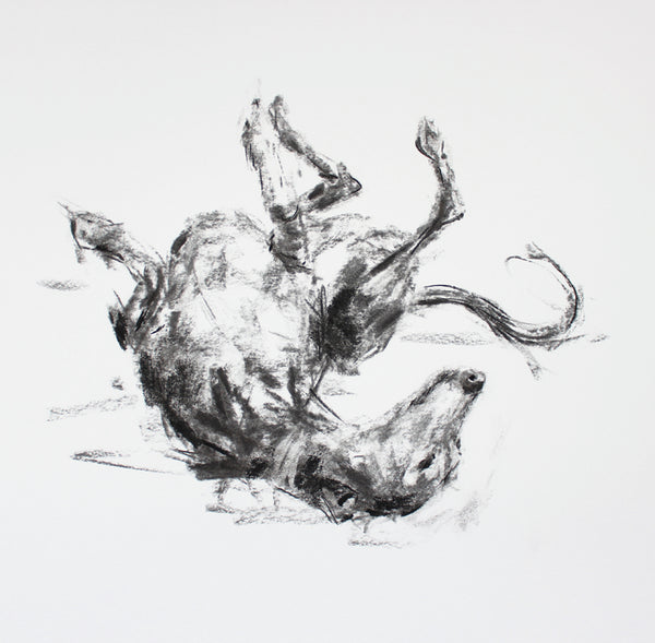 SOLD "The Roach Pose" Charcoal whippet sketch ORIGINAL