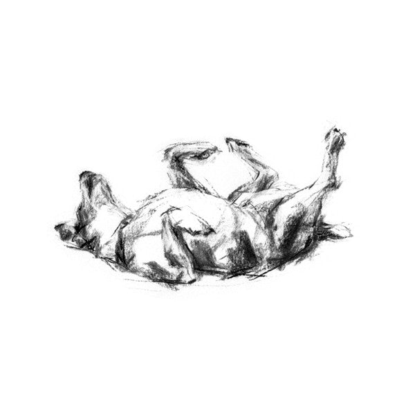 Rolling Terrier Sketch Print