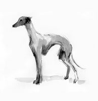 SOLD Sighthound ink and wash drawing - ORIGINAL