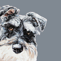 Schnauzer Limited Edition Print