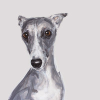 Whippet Limited Edition Print