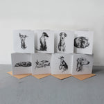 A Set of 8 Sighthound Cards